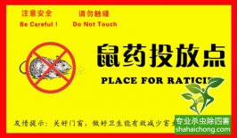 老鼠入室如何消滅？滅鼠公司專業(yè)分析